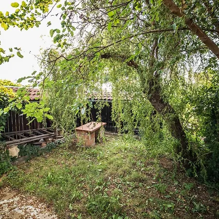 Apartment Vinny Sklep U Terezy A Jakuba